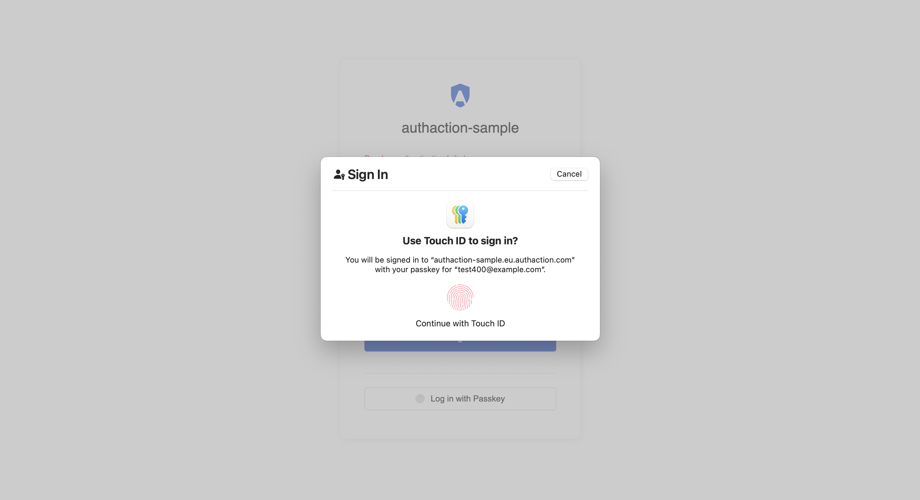 Login with Passkey